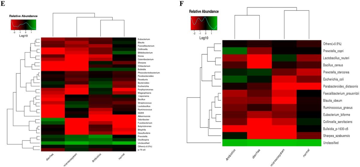 Curing piglets from diarrhea and preparation of a healthy microbiome with Bacillus treatment for industrial animal breeding - Image 9