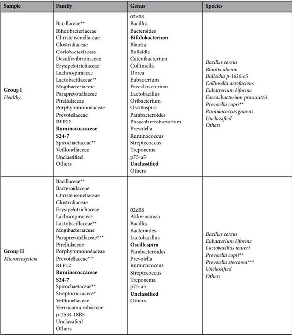 Curing piglets from diarrhea and preparation of a healthy microbiome with Bacillus treatment for industrial animal breeding - Image 15