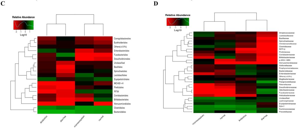 Curing piglets from diarrhea and preparation of a healthy microbiome with Bacillus treatment for industrial animal breeding - Image 7