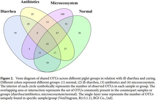 Curing piglets from diarrhea and preparation of a healthy microbiome with Bacillus treatment for industrial animal breeding - Image 2