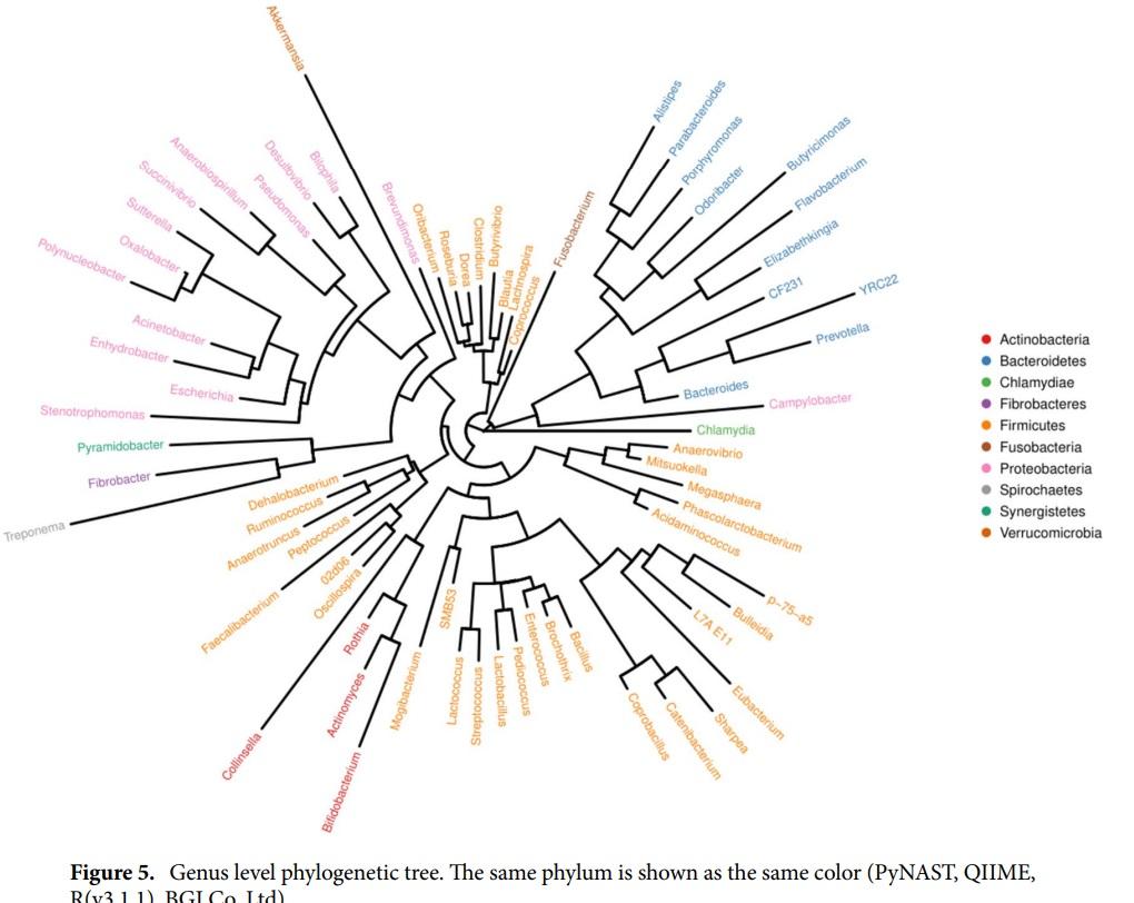 Curing piglets from diarrhea and preparation of a healthy microbiome with Bacillus treatment for industrial animal breeding - Image 11