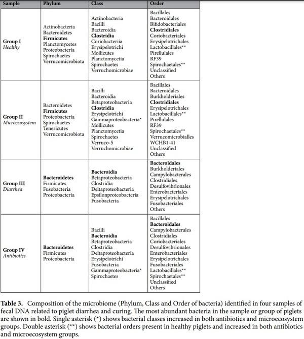 Curing piglets from diarrhea and preparation of a healthy microbiome with Bacillus treatment for industrial animal breeding - Image 14