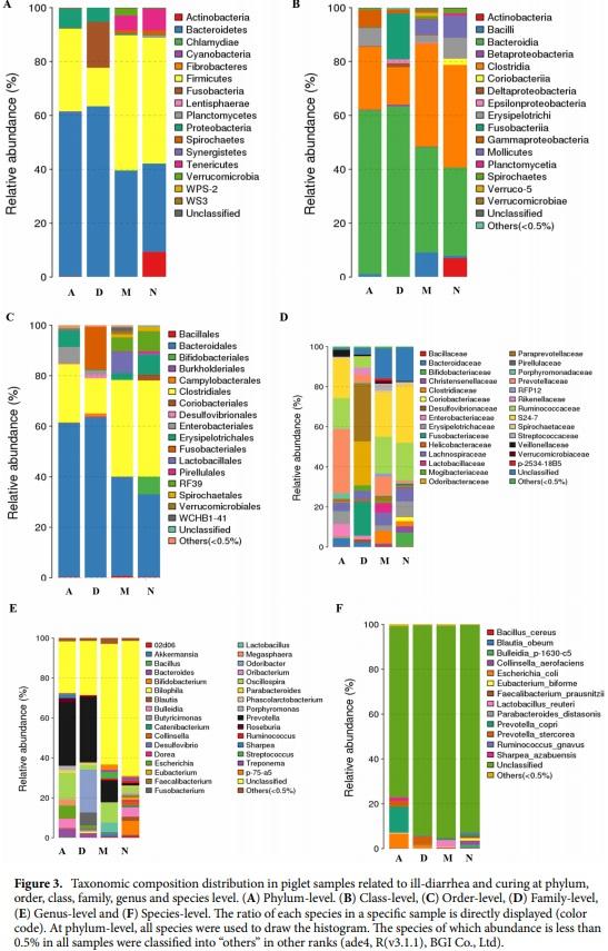 Curing piglets from diarrhea and preparation of a healthy microbiome with Bacillus treatment for industrial animal breeding - Image 4