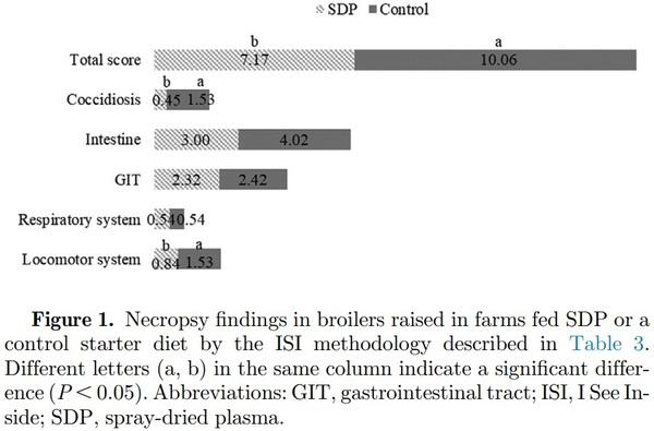 Field evaluation of feeding spray-dried plasma in the starter period on final performance and overall health of broilers - Image 6