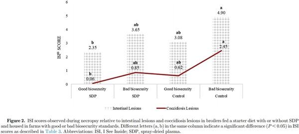 Field evaluation of feeding spray-dried plasma in the starter period on final performance and overall health of broilers - Image 7