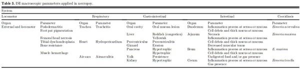 Field evaluation of feeding spray-dried plasma in the starter period on final performance and overall health of broilers - Image 3