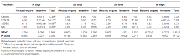 TABLE 4 | Macroscopically I See Inside (ISI) lesions scores of related organs, intestine and total score of broilers submitted to different intestinal challenges at 14, 22, 28 and 36 days of age. The broilers challenged with DSS received 0.25mg/ml (25DSS) or 0.35mg/ml (35DSS) of DSS via oral gavage everyday from 9 to 14-d and 23 to 27-d; birds in the NSP treatment received a diet with 30% of rice bran during the whole experiment, and animals in the control group were not submitted to any challenge.