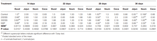 TABLE 5 | Macroscopically I See Inside lesions scores of duodenum (Duod), jejunum (Jejun), ileum and ceca of broilers submitted to different intestinal challenges at 14, 22, 28 and 36 days of age. The broilers challenged with DSS received 0.25mg/ml (25DSS) or 0.35mg/ml (35DSS) of DSS via oral gavage everyday from 9 to 14-d and 23 to 27-d; birds in the NSP treatment received a diet with 30% of rice bran during the whole experiment, and animals in the control group were not submitted to any challenge.