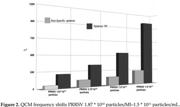 Aptamer-Based QCM-Sensor for Rapid Detection of PRRS Virus - Image 2