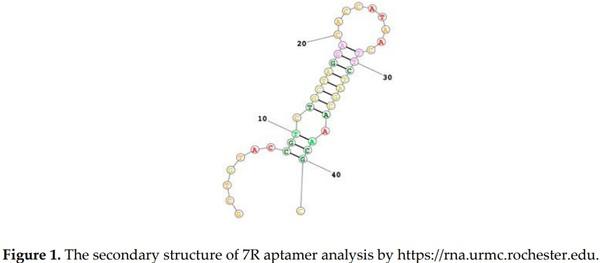 Aptamer-Based QCM-Sensor for Rapid Detection of PRRS Virus - Image 1