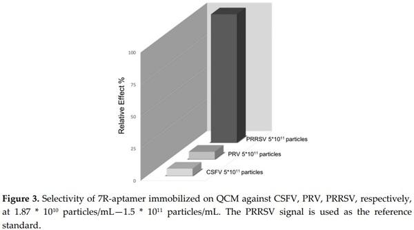 Aptamer-Based QCM-Sensor for Rapid Detection of PRRS Virus - Image 3