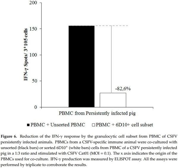 Identification of an Immunosuppressive Cell Population during Classical Swine Fever Virus Infection and Its Role in Viral Persistence in the Host - Image 6