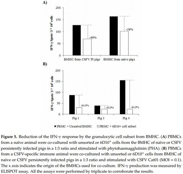 Identification of an Immunosuppressive Cell Population during Classical Swine Fever Virus Infection and Its Role in Viral Persistence in the Host - Image 5