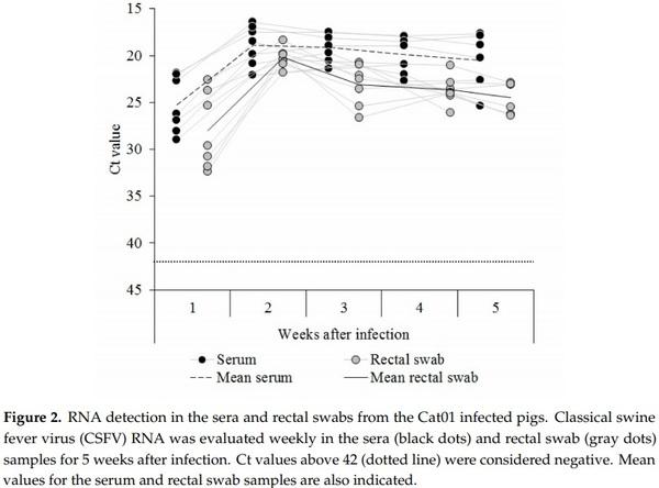 Identification of an Immunosuppressive Cell Population during Classical Swine Fever Virus Infection and Its Role in Viral Persistence in the Host - Image 2