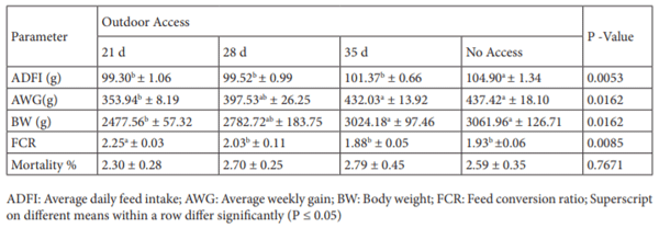 Table 2. Growth performance of commercial broilers subjected to outdoor access at different ages.