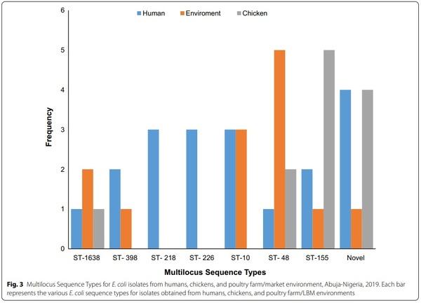 Genetic relatedness of multidrug resistant Escherichia coli isolated from humans, chickens and poultry environments - Image 4
