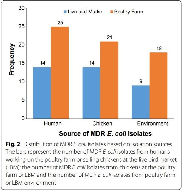 Genetic relatedness of multidrug resistant Escherichia coli isolated from humans, chickens and poultry environments - Image 3