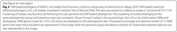 Genetic relatedness of multidrug resistant Escherichia coli isolated from humans, chickens and poultry environments - Image 6