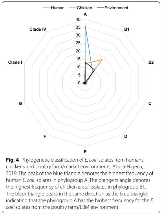 Genetic relatedness of multidrug resistant Escherichia coli isolated from humans, chickens and poultry environments - Image 5