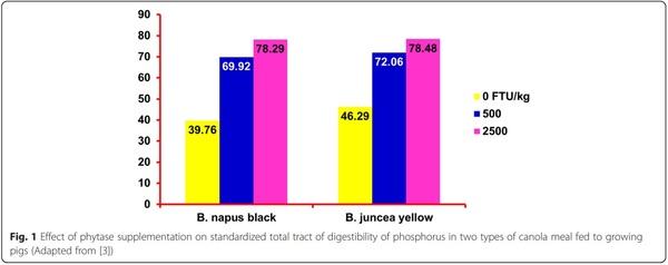 Recent advances in canola meal utilization in swine nutrition - Image 1