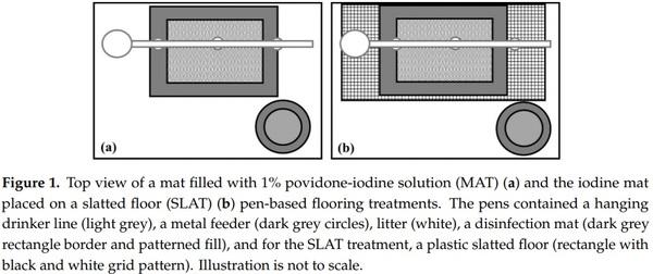 Remedying Contact Dermatitis in Broiler Chickens with Novel Flooring Treatments - Image 2