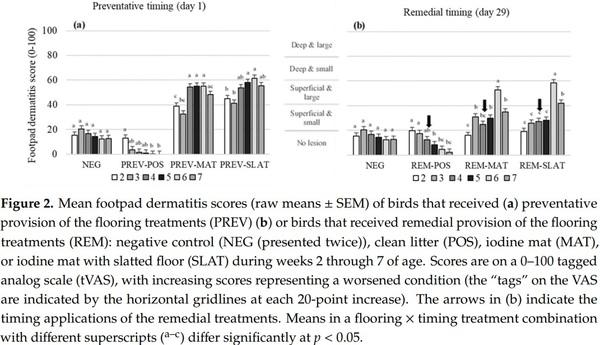 Remedying Contact Dermatitis in Broiler Chickens with Novel Flooring Treatments - Image 5