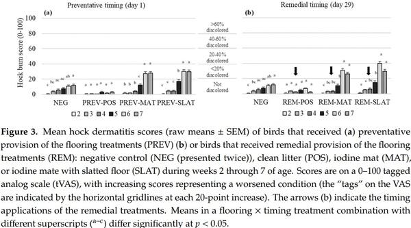 Remedying Contact Dermatitis in Broiler Chickens with Novel Flooring Treatments - Image 6