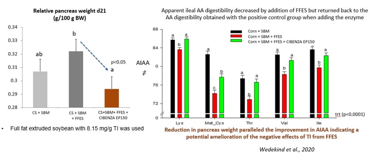 Trypsin Inhibitor, the hidden enemy in Soyabean Meal - Image 14