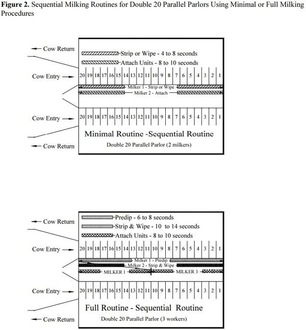 Selecting and Managing Your Milking Facility - Image 2