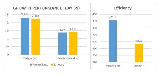 Optimization of intestinal physiology, performance and efficiency of poultry farming - Image 3
