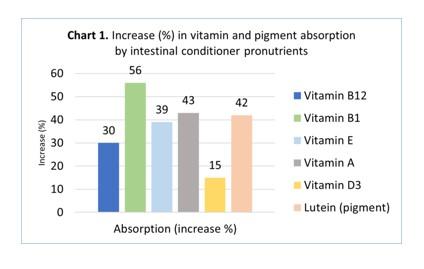 Optimization of intestinal physiology, performance and efficiency of poultry farming - Image 2