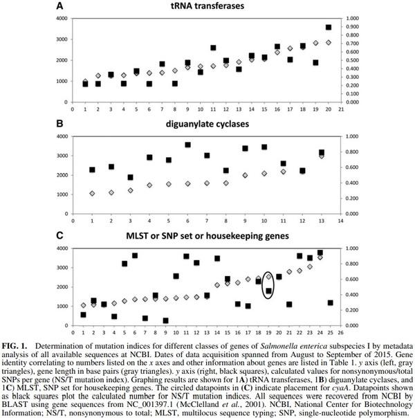 Subtyping of Salmonella enterica Subspecies I Using Single-Nucleotide Polymorphisms in Adenylate Cyclase - Image 1