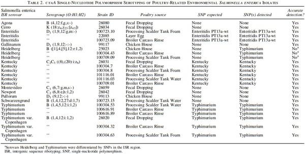 Subtyping of Salmonella enterica Subspecies I Using Single-Nucleotide Polymorphisms in Adenylate Cyclase - Image 4