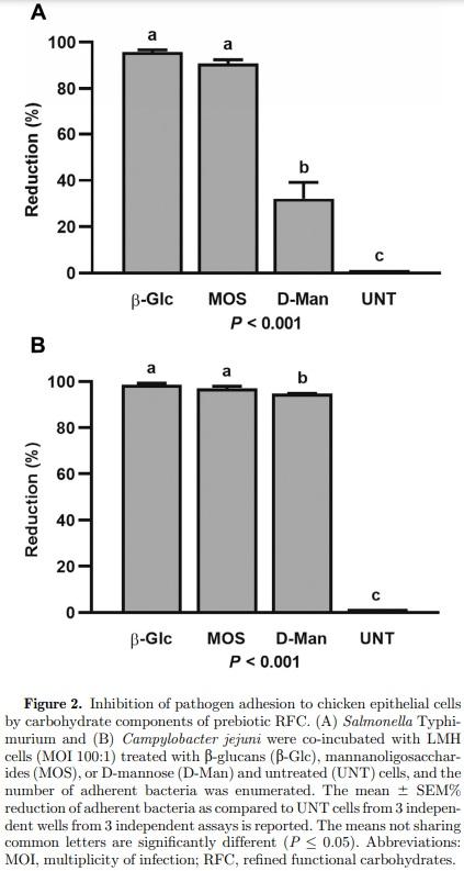 Refined functional carbohydrates reduce adhesion of Salmonella and Campylobacter to poultry epithelial cells in vitro - Image 3