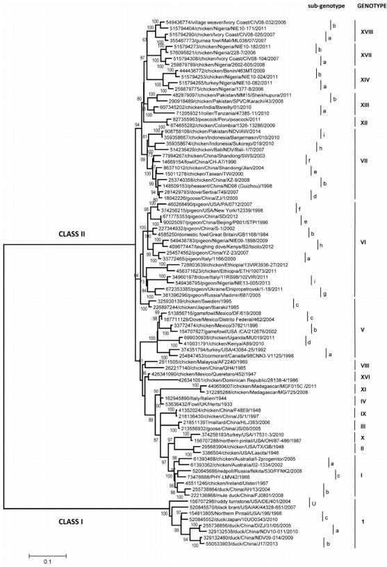 Epidemiology, control, and prevention of Newcastle disease in endemic regions: Latin America - Image 1
