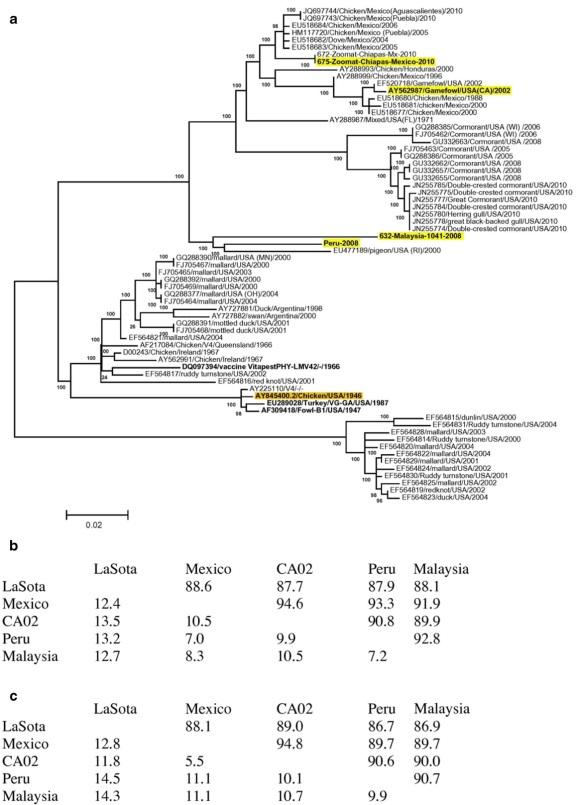 Epidemiology, control, and prevention of Newcastle disease in endemic regions: Latin America - Image 2