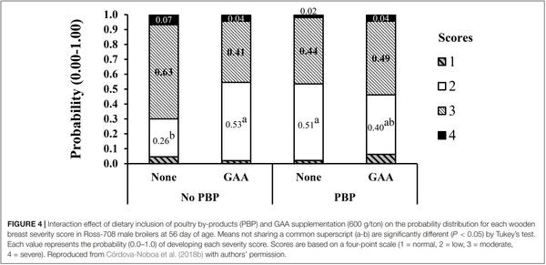 The Potential of Guanidino Acetic Acid to Reduce the Occurrence and Severity of Broiler Muscle Myopathies - Image 6