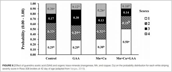 The Potential of Guanidino Acetic Acid to Reduce the Occurrence and Severity of Broiler Muscle Myopathies - Image 8