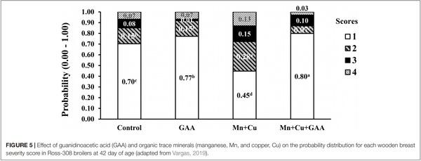 The Potential of Guanidino Acetic Acid to Reduce the Occurrence and Severity of Broiler Muscle Myopathies - Image 7