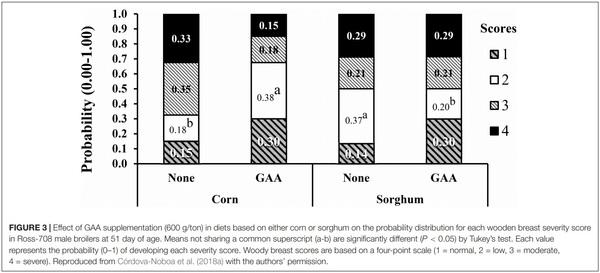 The Potential of Guanidino Acetic Acid to Reduce the Occurrence and Severity of Broiler Muscle Myopathies - Image 5