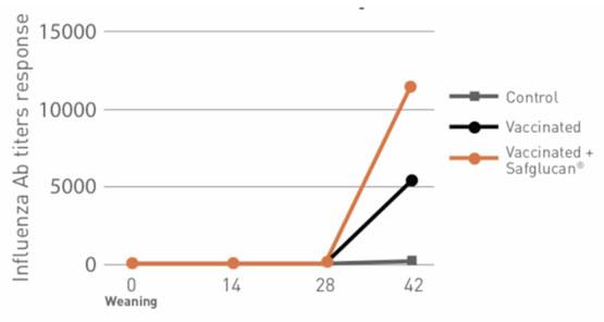 Figure 3 – Safglucan® effects on influenza vaccine response.