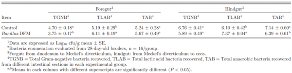 Determination of total bacterial counts in the foregut and hindgut intestinal segments in broiler chickens consuming a corn-DDGS-soybean grower diet with or without dietary inclusion of a Bacillus-direct-fed microbial (DFM) (Experiment 2).