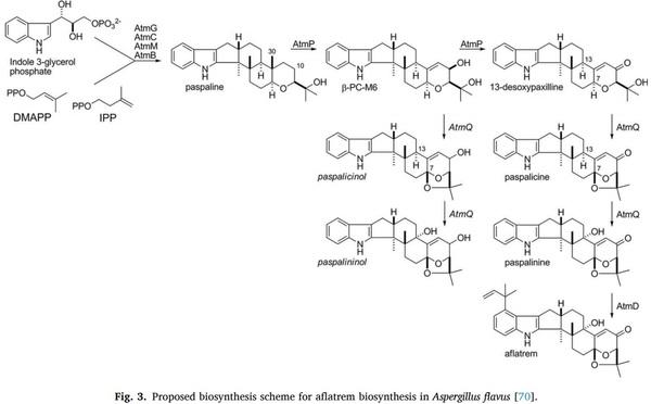 Aspergillus derived mycotoxins in food and the environment: Prevalence, detection, and toxicity - Image 3