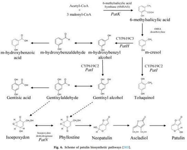 Aspergillus derived mycotoxins in food and the environment: Prevalence, detection, and toxicity - Image 11