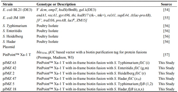 Table 2. Bacterial Strains and Plasmids.