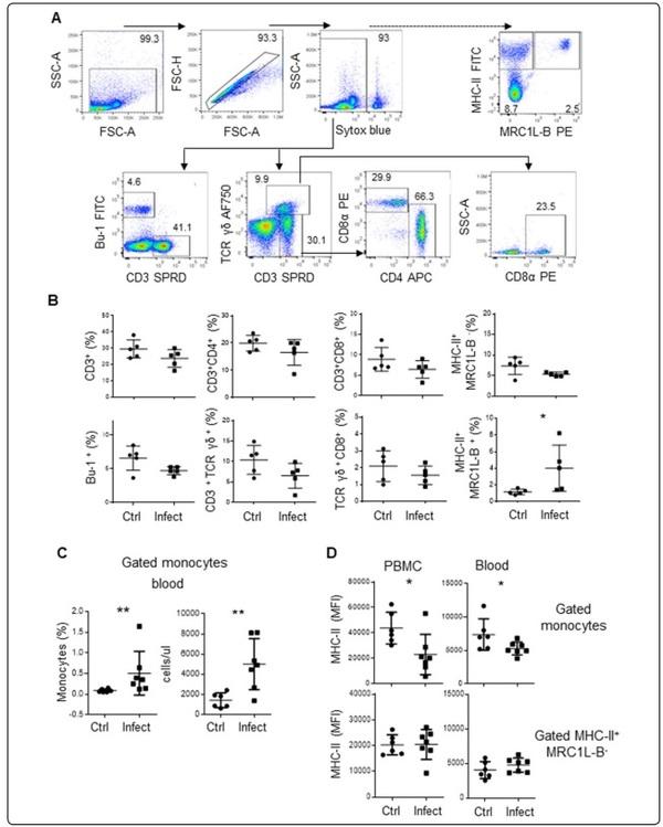 A transient increase in MHC-IIlow monocytes after experimental infection with Avibacterium paragallinarum (serovar B-1) in SPF chickens - Image 1