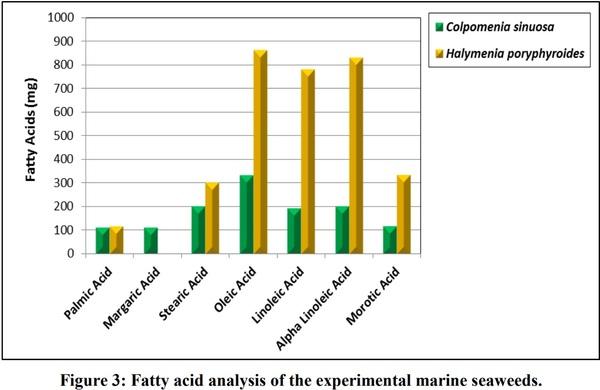 Phytochemical, Amino Acid, Fatty Acid and Vitamin Investigation of Marine Seaweeds Colpomenia Sinuosa and Halymenia Porphyroides Collected along Southeast Coast of Tamilnadu, India - Image 10