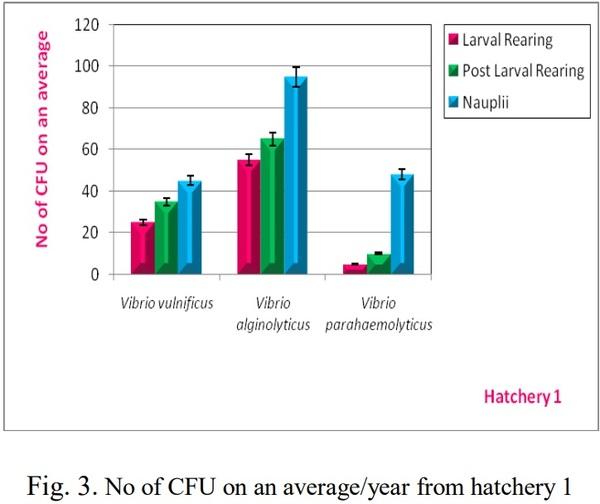 Isolation, Identification and Biochemical Characterization of Vibrios Species from Shrimp Hatcheries near Pondicherry Coast, Tamilnadu, India - Image 4