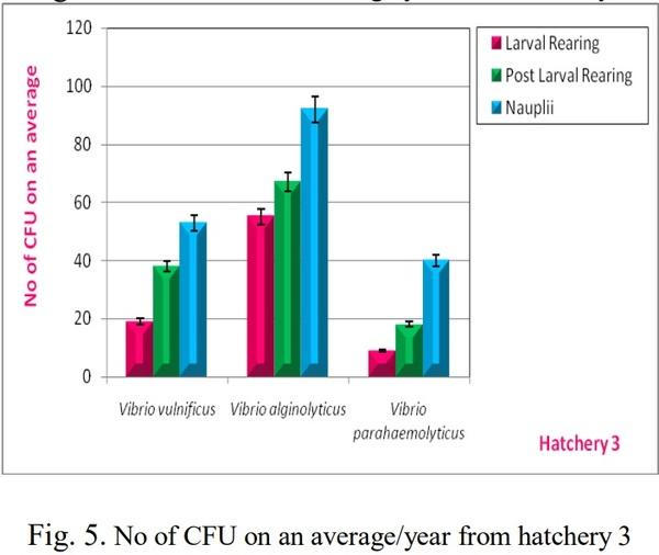 Isolation, Identification and Biochemical Characterization of Vibrios Species from Shrimp Hatcheries near Pondicherry Coast, Tamilnadu, India - Image 6