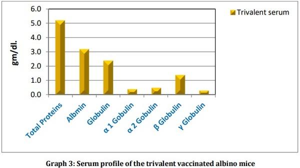 Vaccine Preperative Trial for Leptospirosis and their Pathological, Immunological Study by Serum Electrophoresis - Image 11